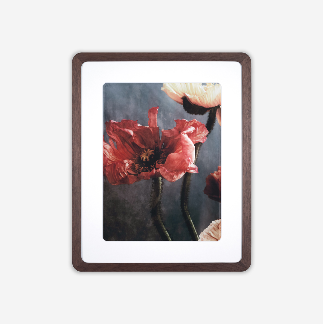 Apex valnöt med blommor