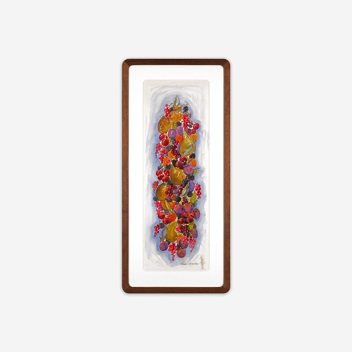 Profil Apex i valnöt till akvarell